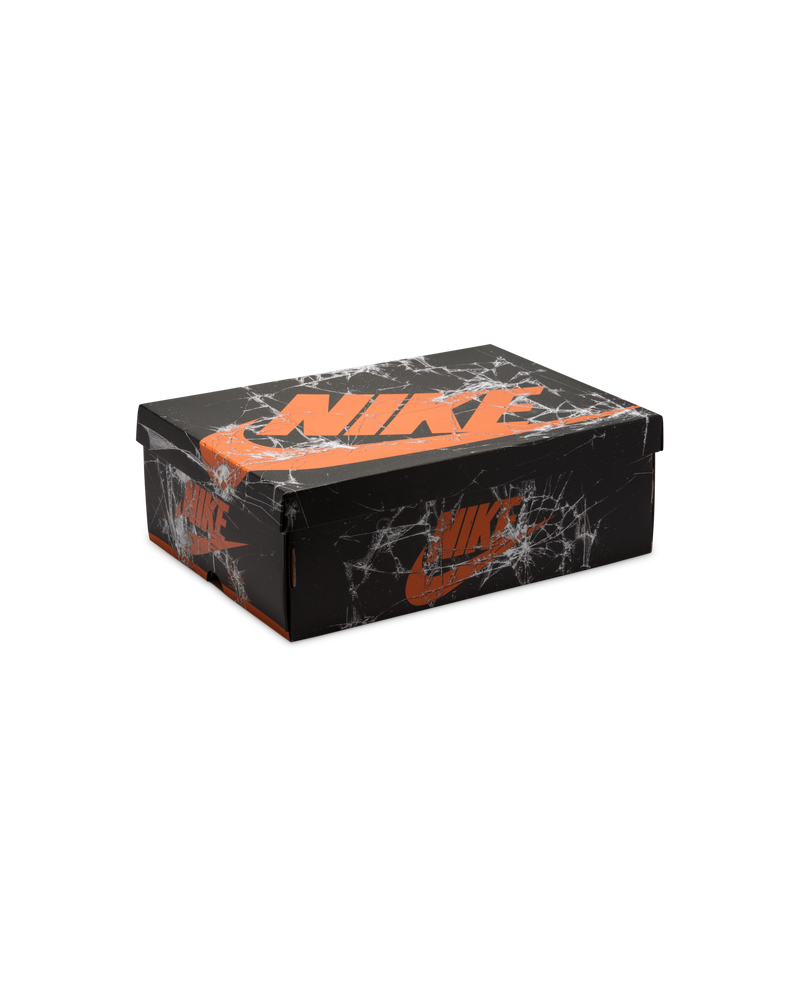 Nike Air Jordan 1 Retro High OG 'Shattered Backboard'